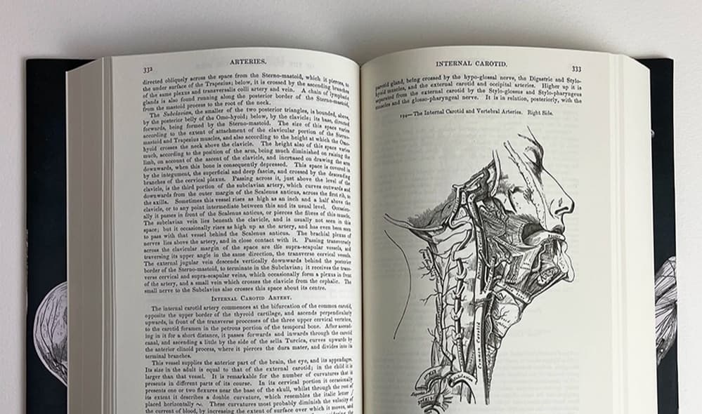 Medical student using AI study tools on a laptop